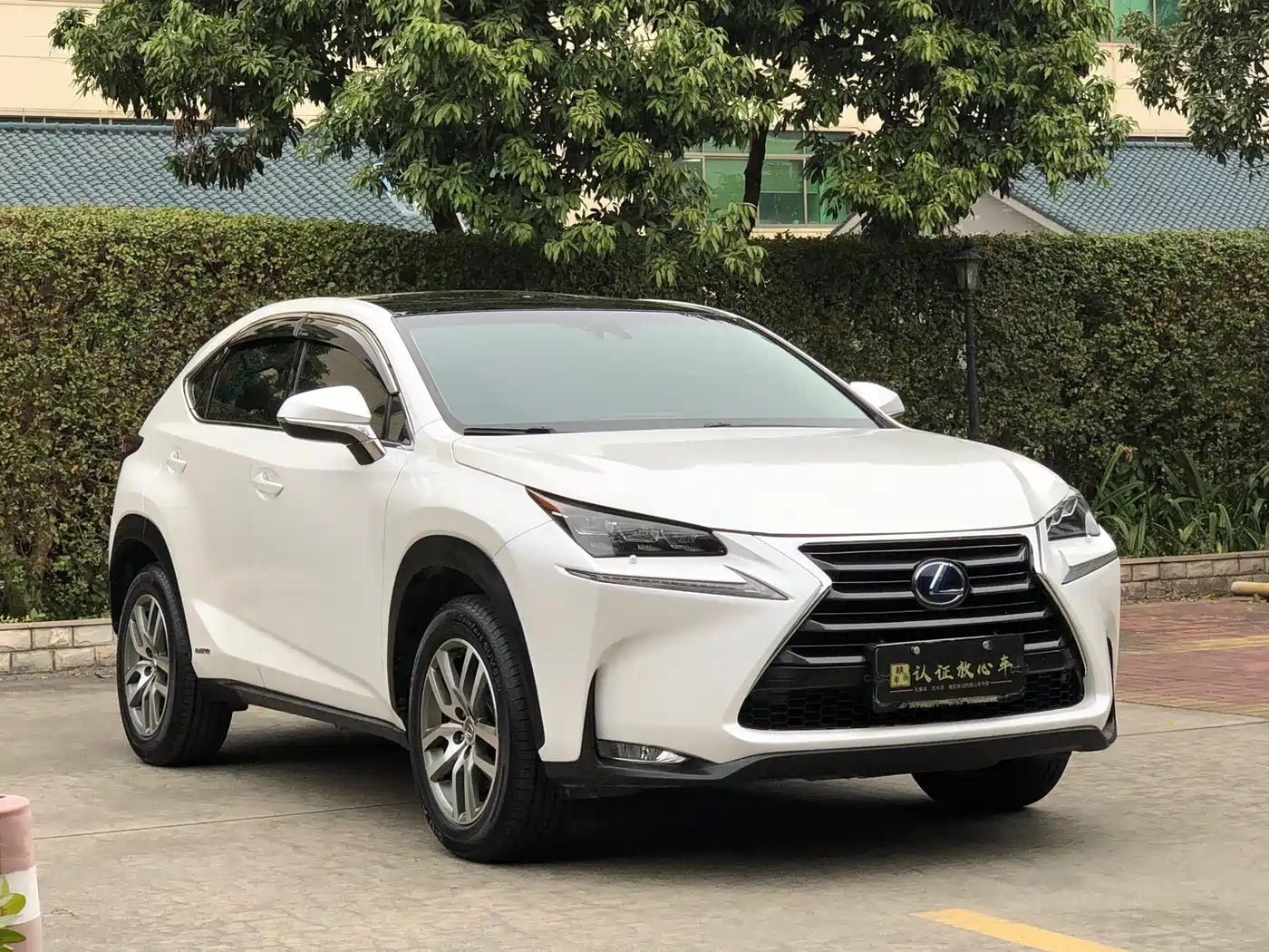Lexus NX 2015 300h AWD F SPORT фото 3