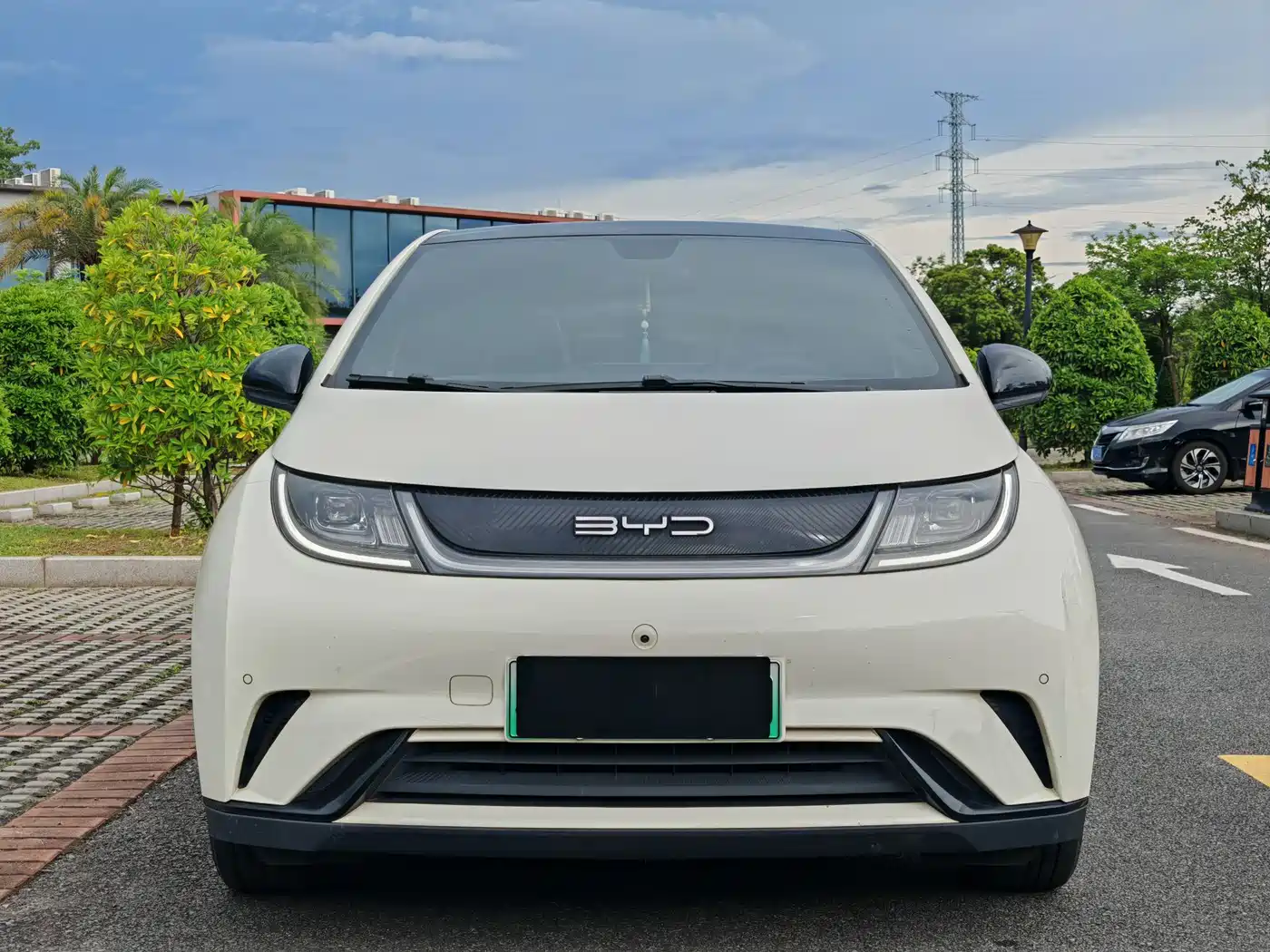 BYD Dolphin 2023 420km Fashion Edition фото 2