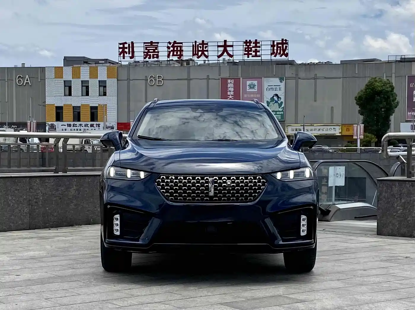 WEI PAI WEI BRAND VV7