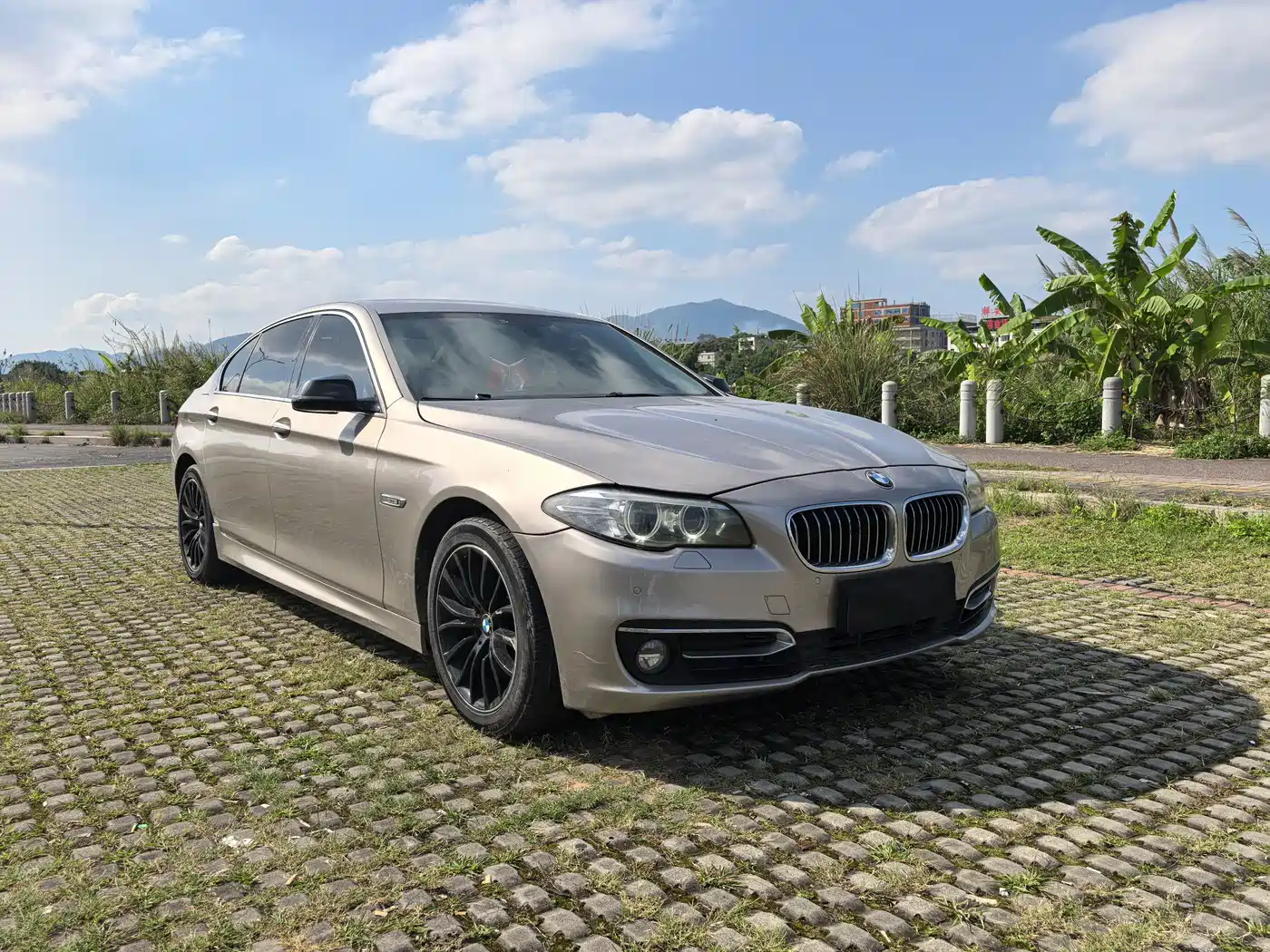 BMW 5 Series 2014 525Li Luxury Design Package фото 3