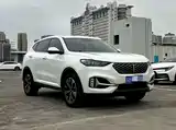 Фото 3 - WEY VV6