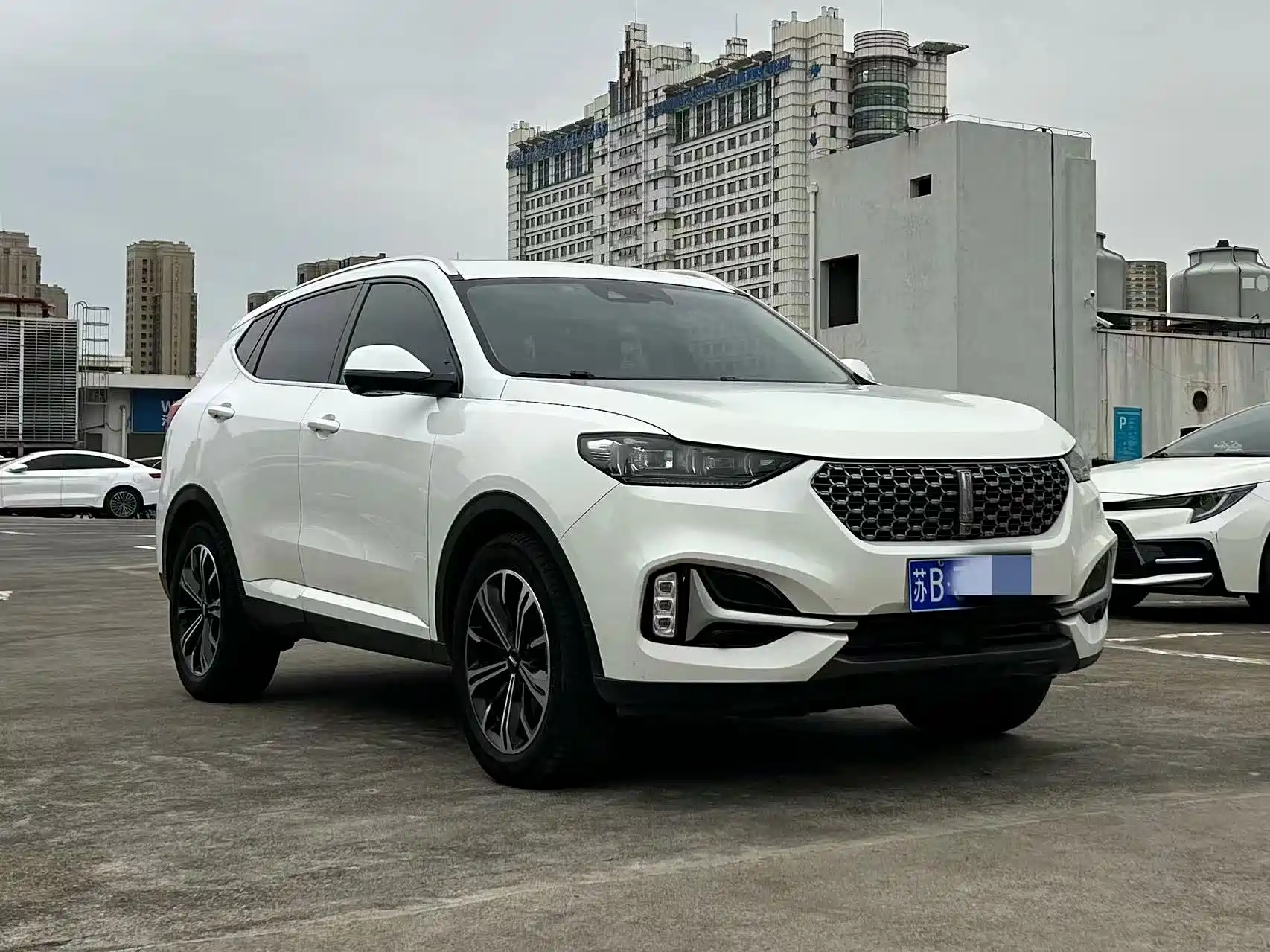 Фото 3 - WEY VV6