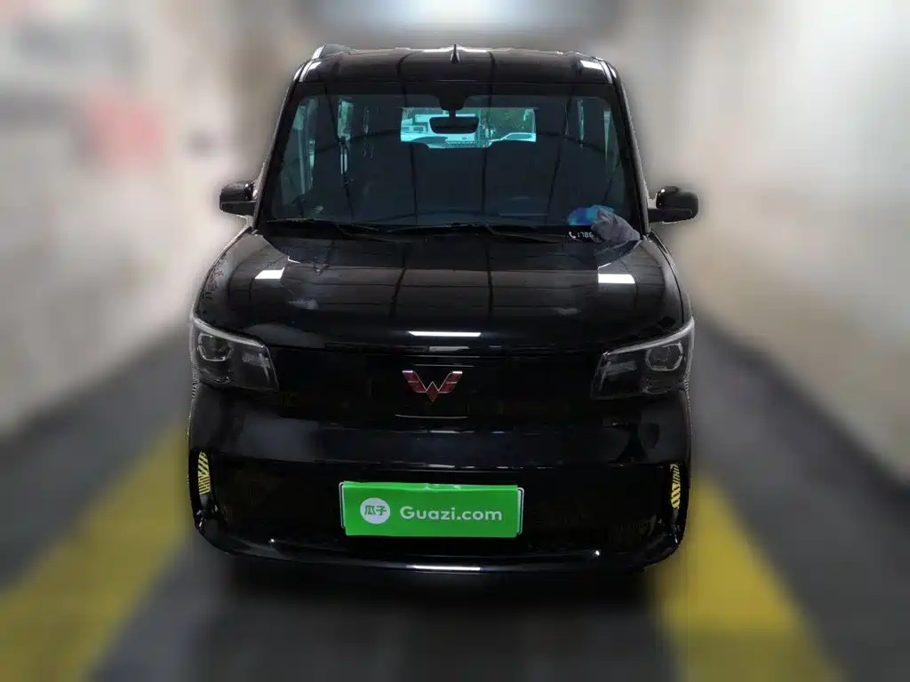 Wuling Motors Wuling Zhiguang NEV 2025 2025 Model 305km Base Version