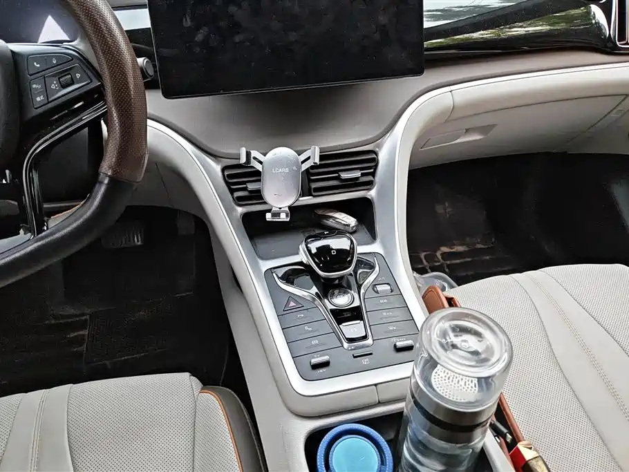 BYD Song Pro New Energy 2023 Champion Edition DM-i 110KM Excellence фото 16