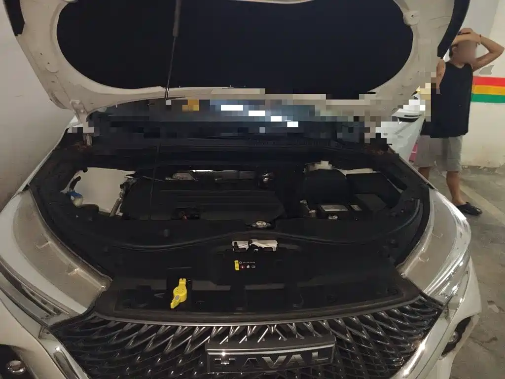Haval M6 2024 2023 PLUS 1.5T Manual Luxury Smart Connect