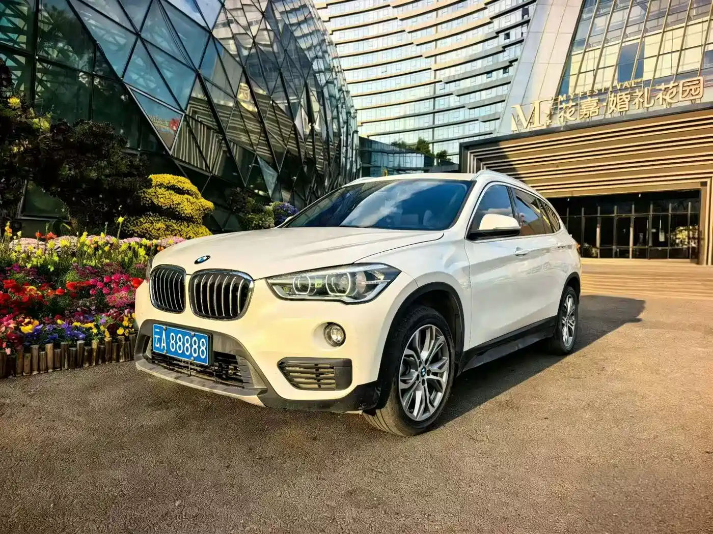 BMW X1 2018 sDrive20Li Leading Model