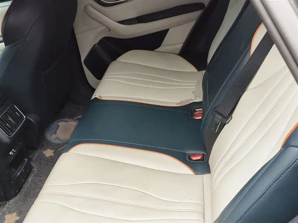 BYD Song PLUS PHEV 2024 Glory Edition DM-i 110km Flagship фото 17