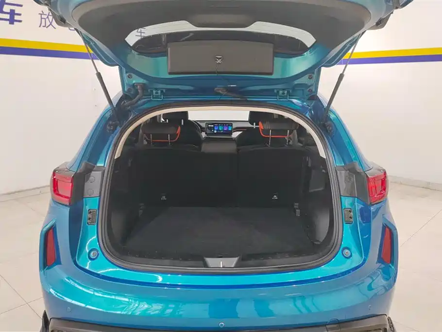 Haval Chitu 2021 Turbo Edition 1.5T Golden Rabbit фото 4