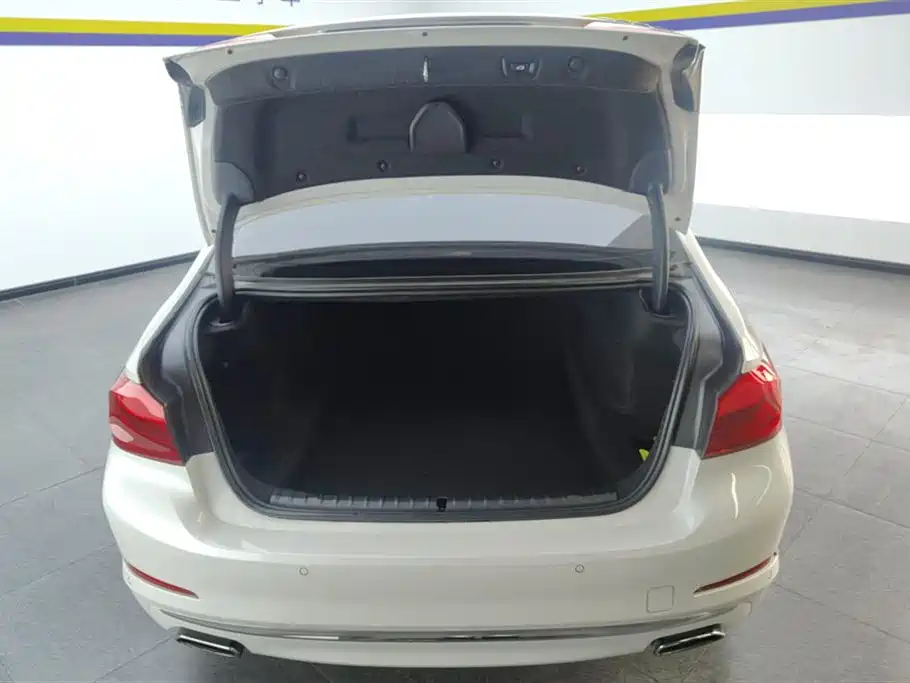 BMW 5 Series 2019 530Li Leading Luxury Package фото 4