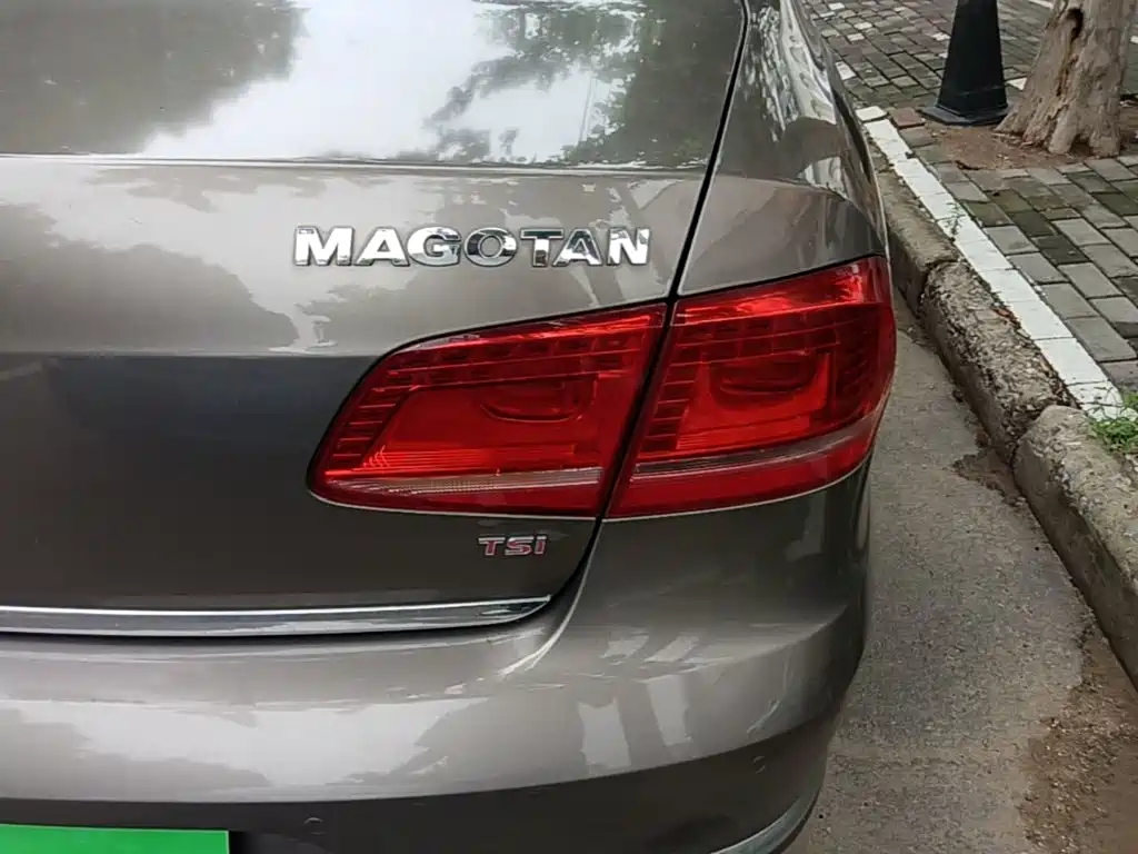 صورة 8 - Volkswagen Magotan
