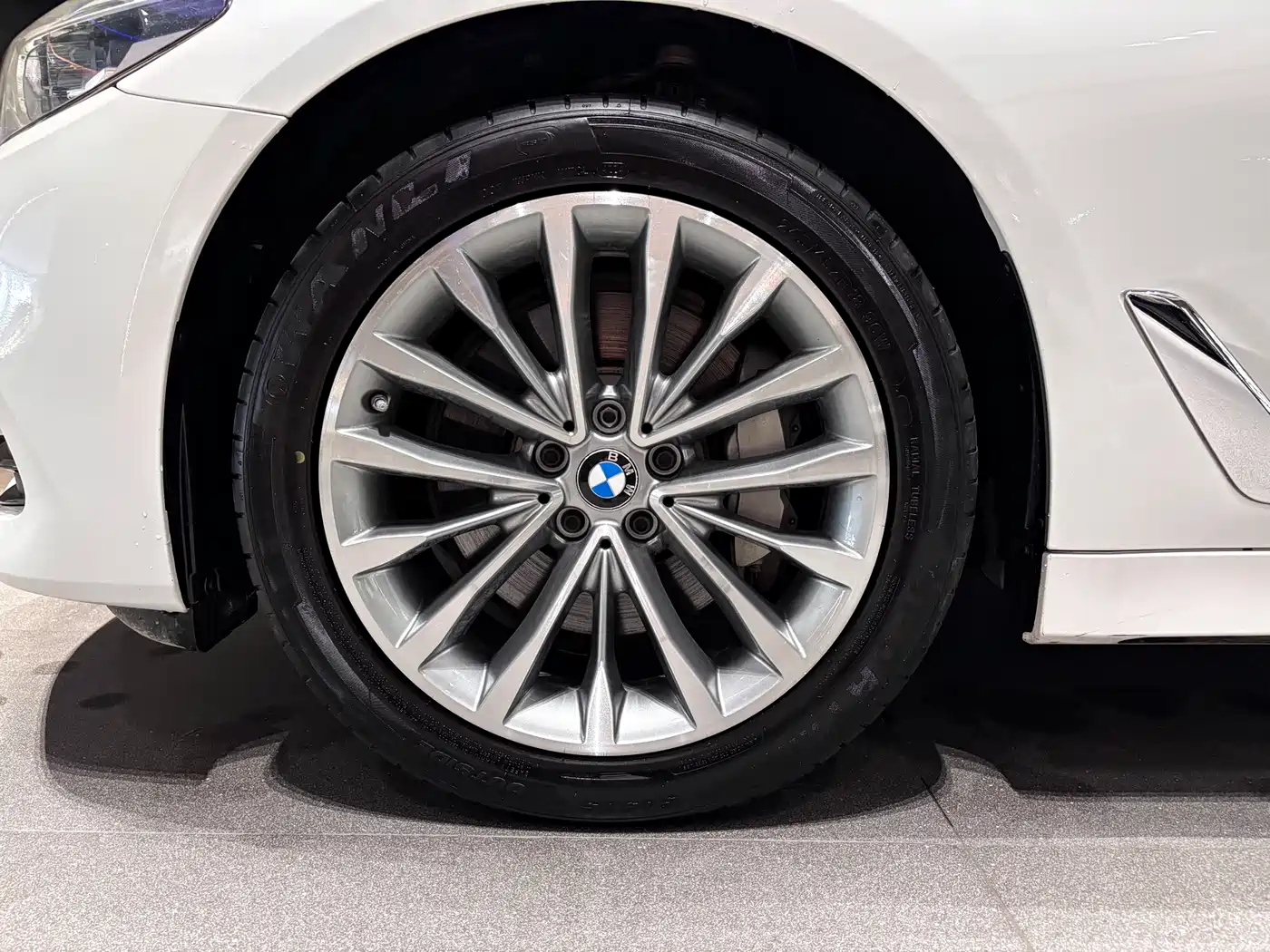 BMW 5 Series 2020 530Li xDrive Luxury Package фото 6