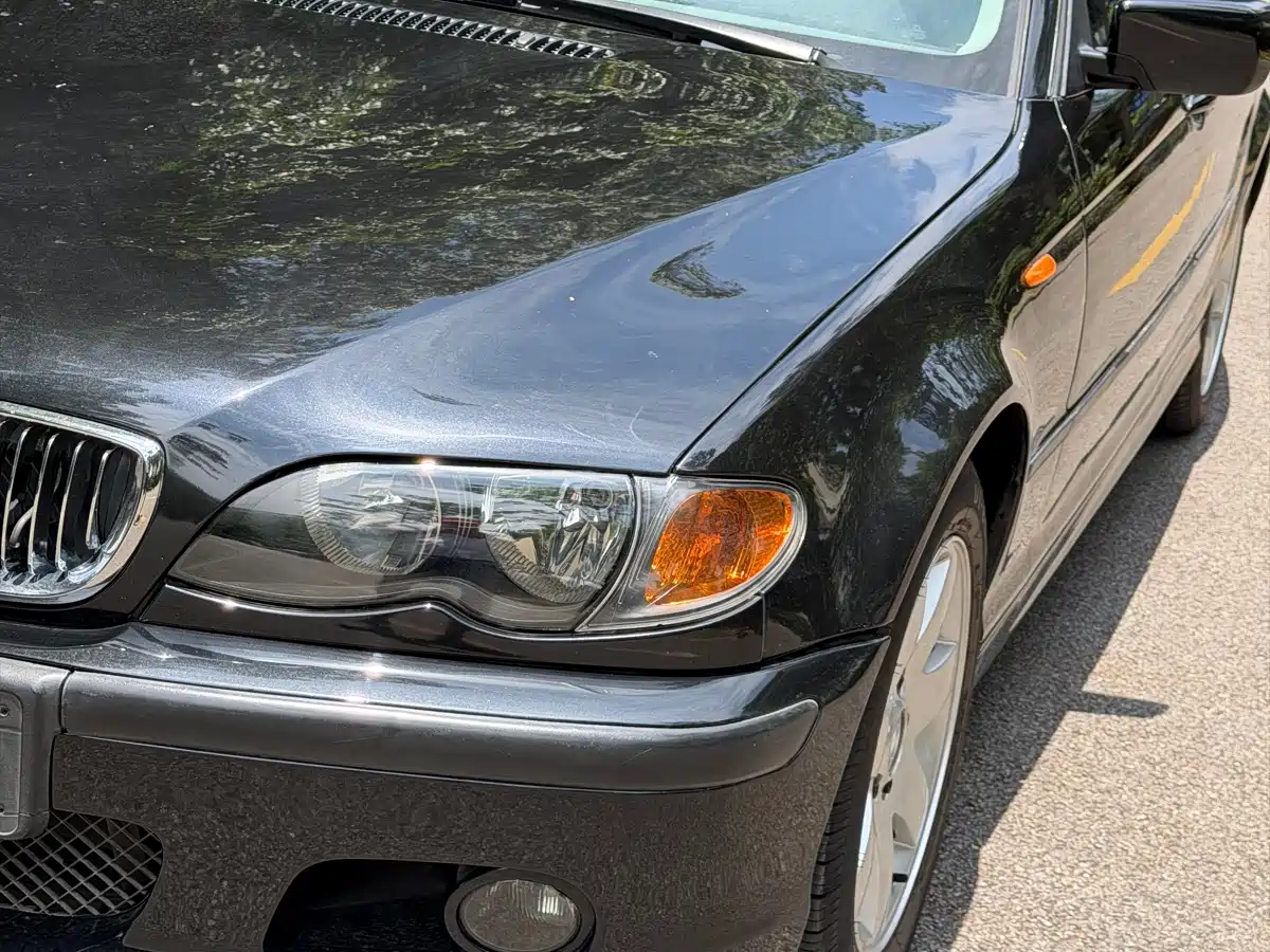 BMW 3 Series 2004 325i фото 21