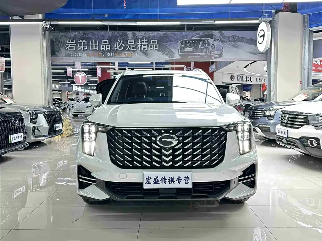 GAC Trumpchi Trumpchi GS8 2022 Pilot Series 2.0TGDI 2WD Luxury Smart Connect Edition (7-Seater) фото 3