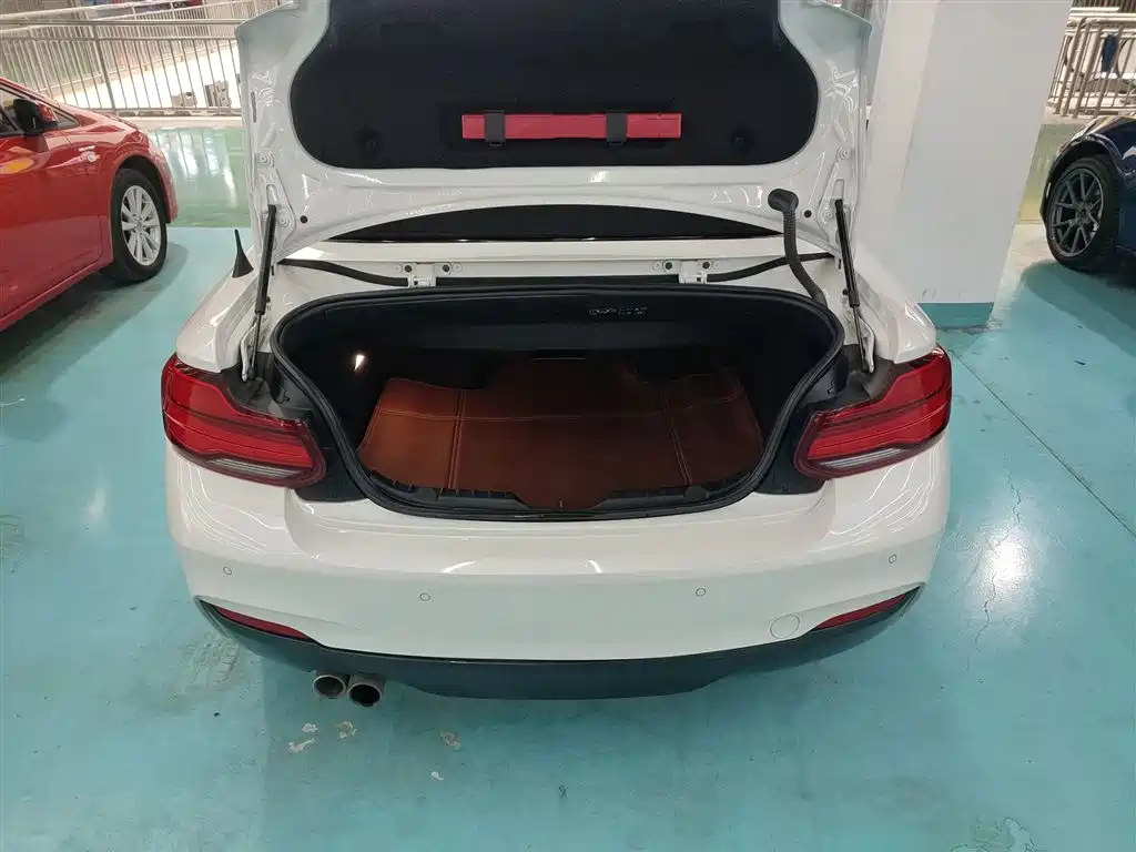 BMW 2 Series (Import) 2018 225i Convertible Coupe M Sport фото 19