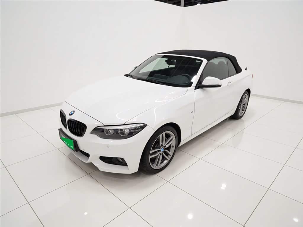 BMW 2 Series (Import)