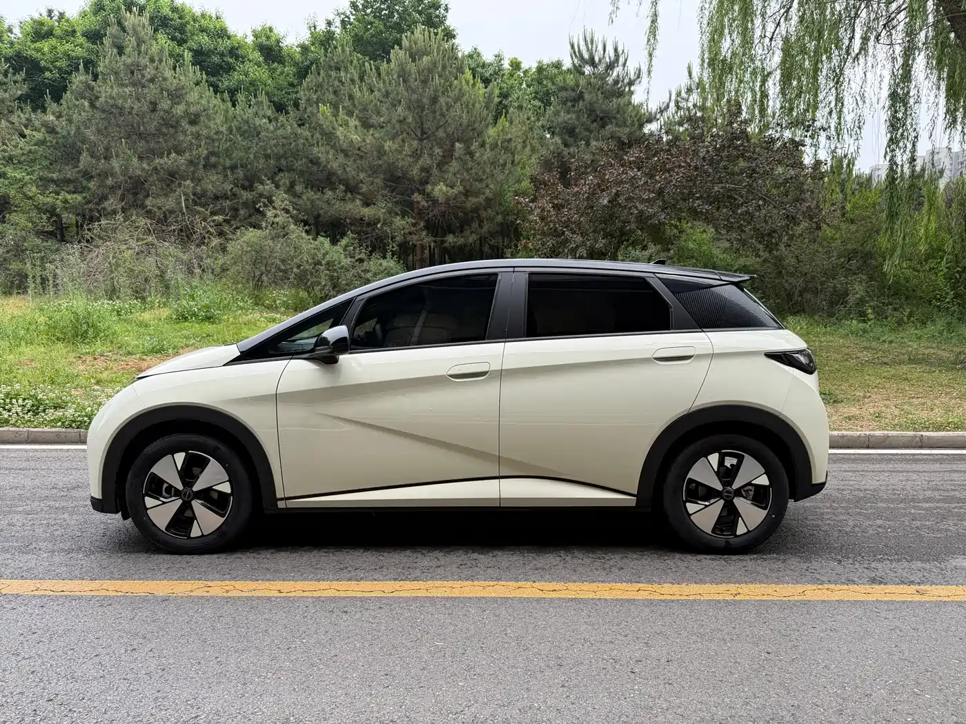 BYD Dolphin 2024 Glory Edition 420km Fashion Edition фото 3