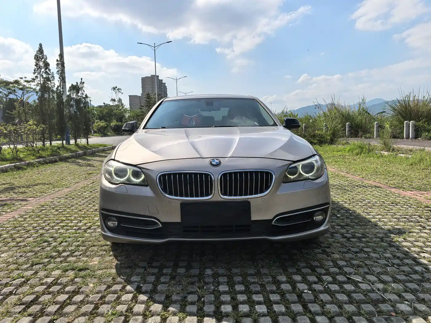 BMW 5 Series 2014 525Li Luxury Design Package фото 2