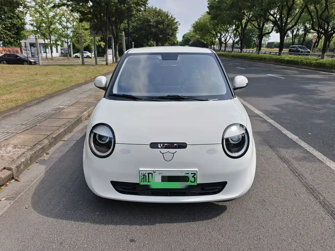 Changan Lumin 2025 2025 205km Fragrant Infusion Edition