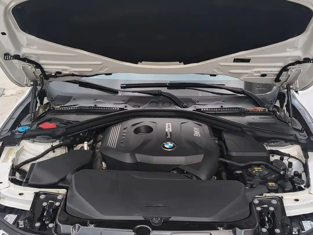 BMW 3 Series 2017 320Li M Sport фото 13