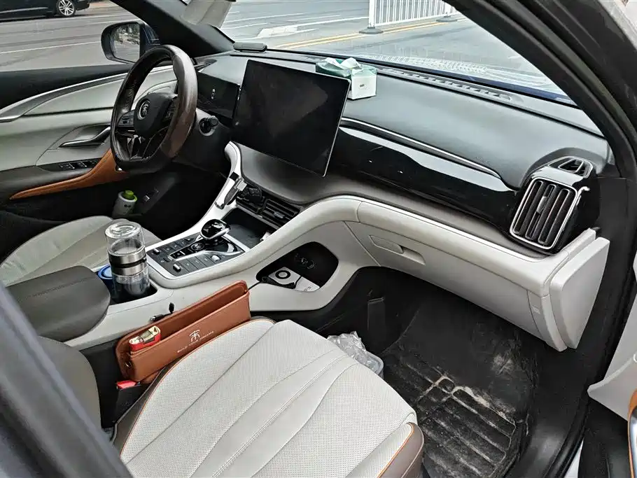 BYD Song Pro New Energy 2023 Champion Edition DM-i 110KM Excellence фото 8