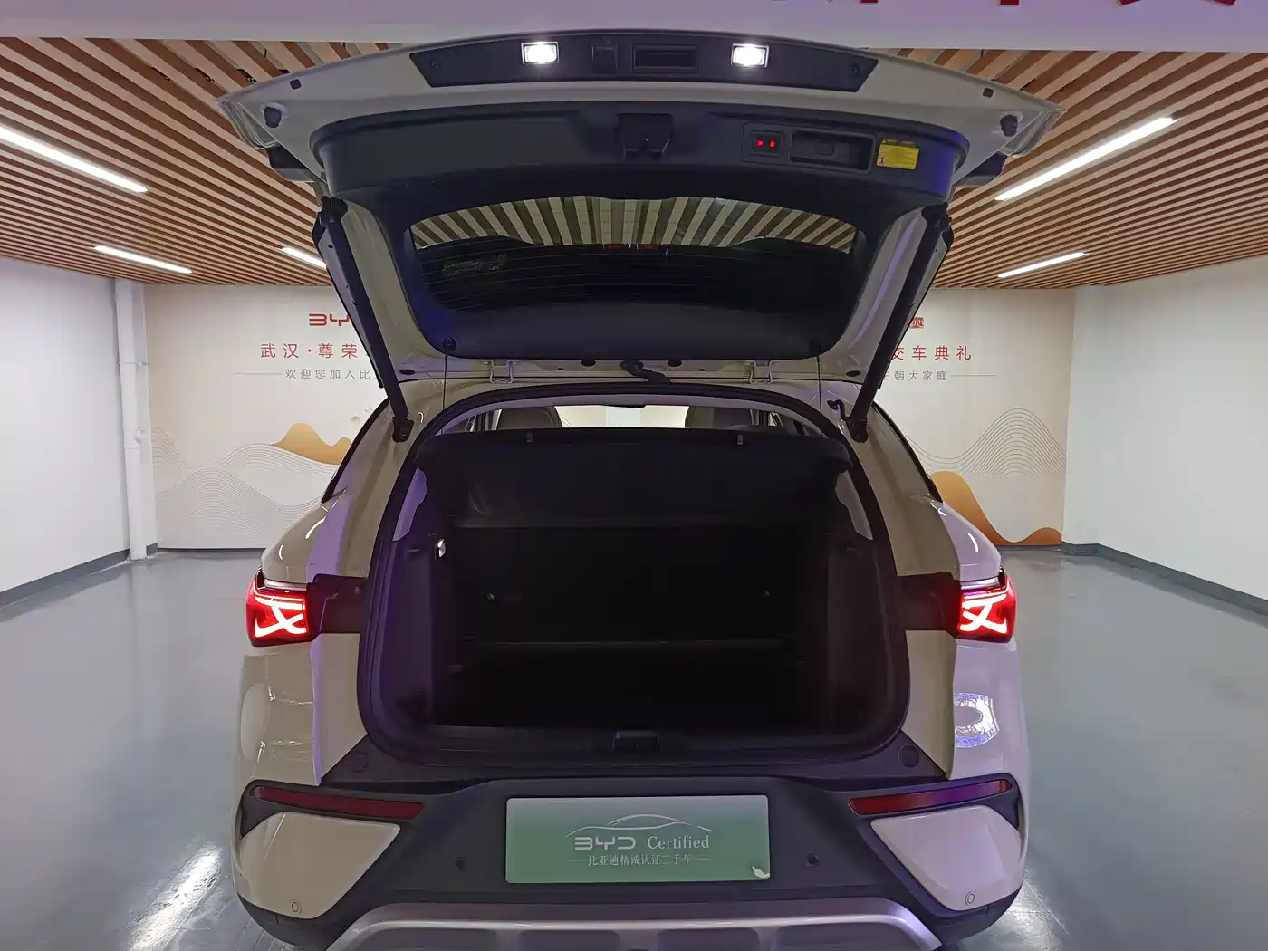 BYD Yuan PLUS 2025 2025 Smart Drive 510KM Surpass Edition