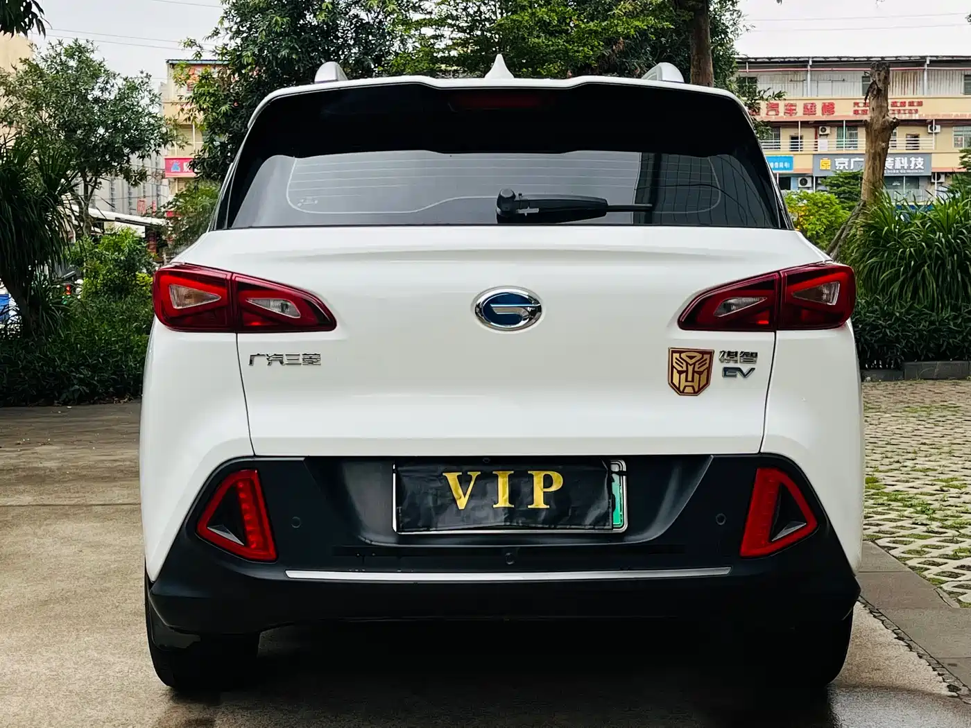 GAC Group Qizhi EV 2019 2019 EV530 Smart Edition