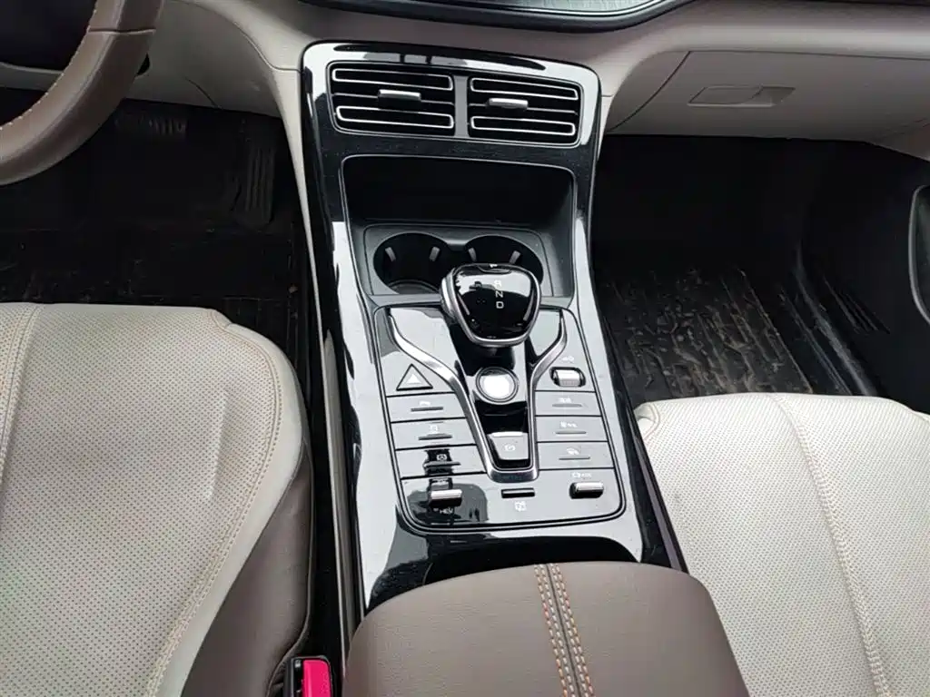 BYD Qin PLUS 2023 Champion Edition DM-i 55KM Leading фото 14