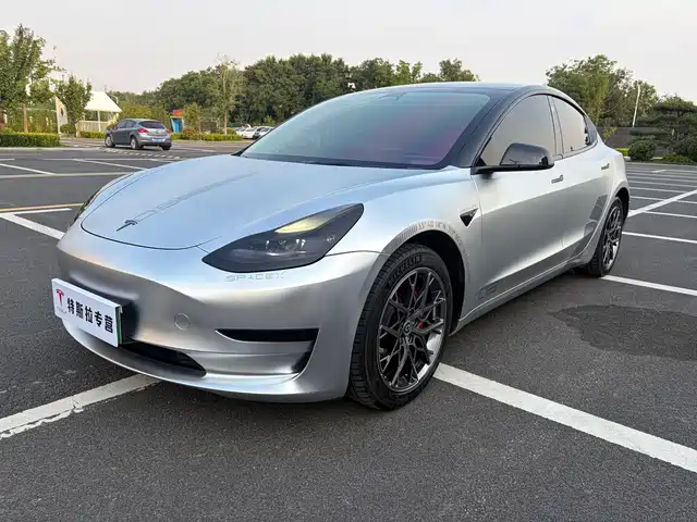 Tesla Model 3 2022 Model Rear-Wheel Drive Version
