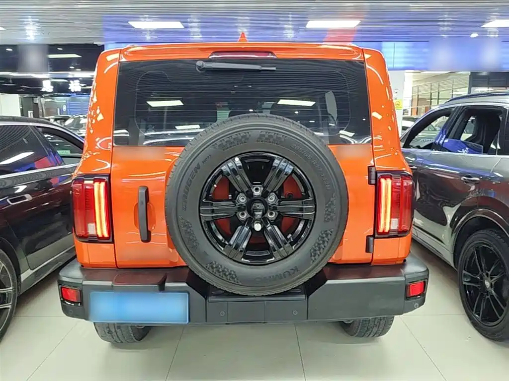 Tank 300 2023 Off-Road Edition 2.0T Conqueror фото 6