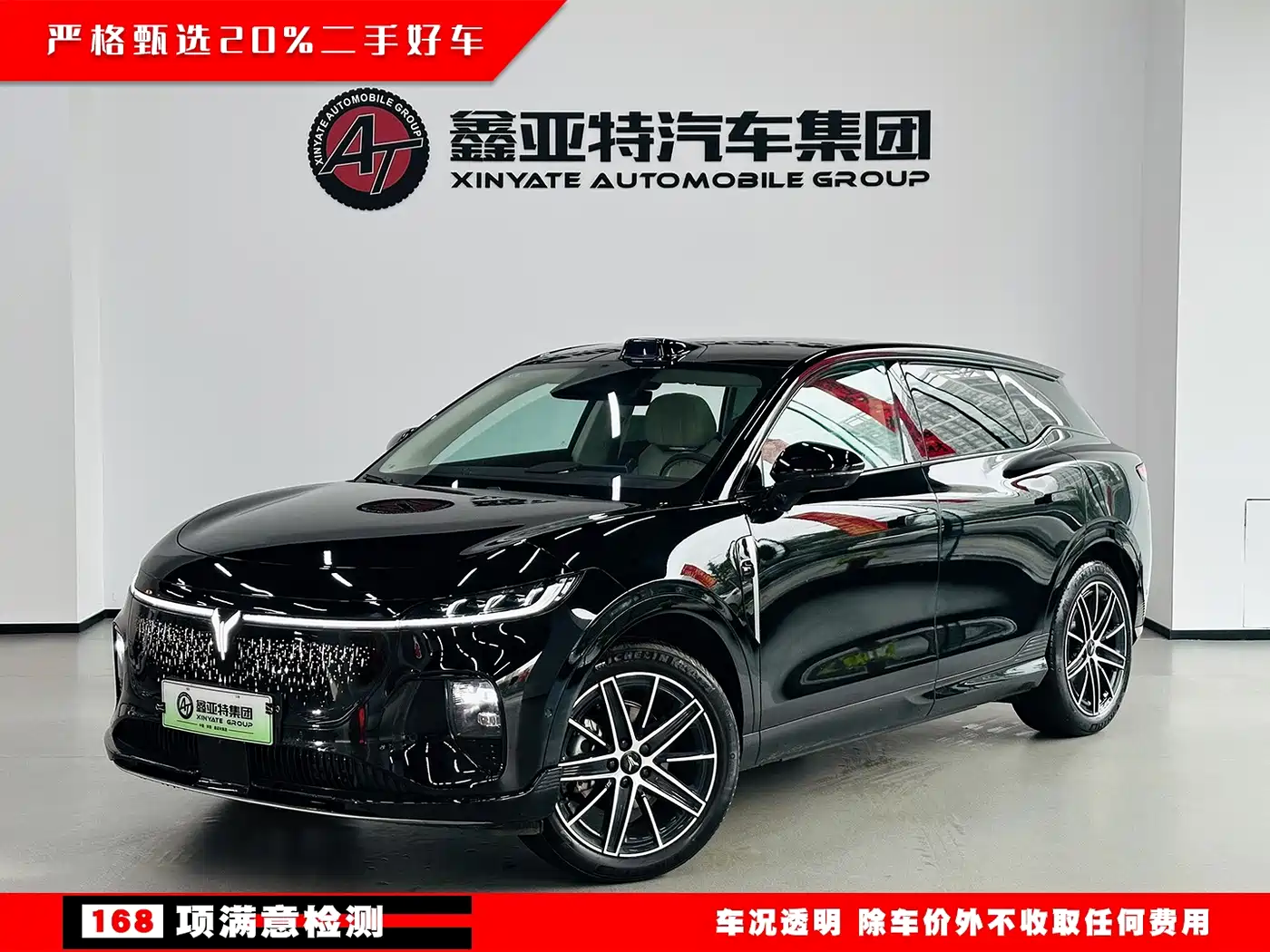 Voyah Auto Voyah Zhiyin 2025 Base