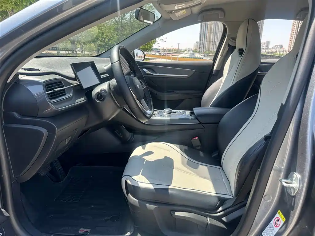 BYD Destroyer 05 2024 Glory Edition DM-i 55KM Luxury фото 7