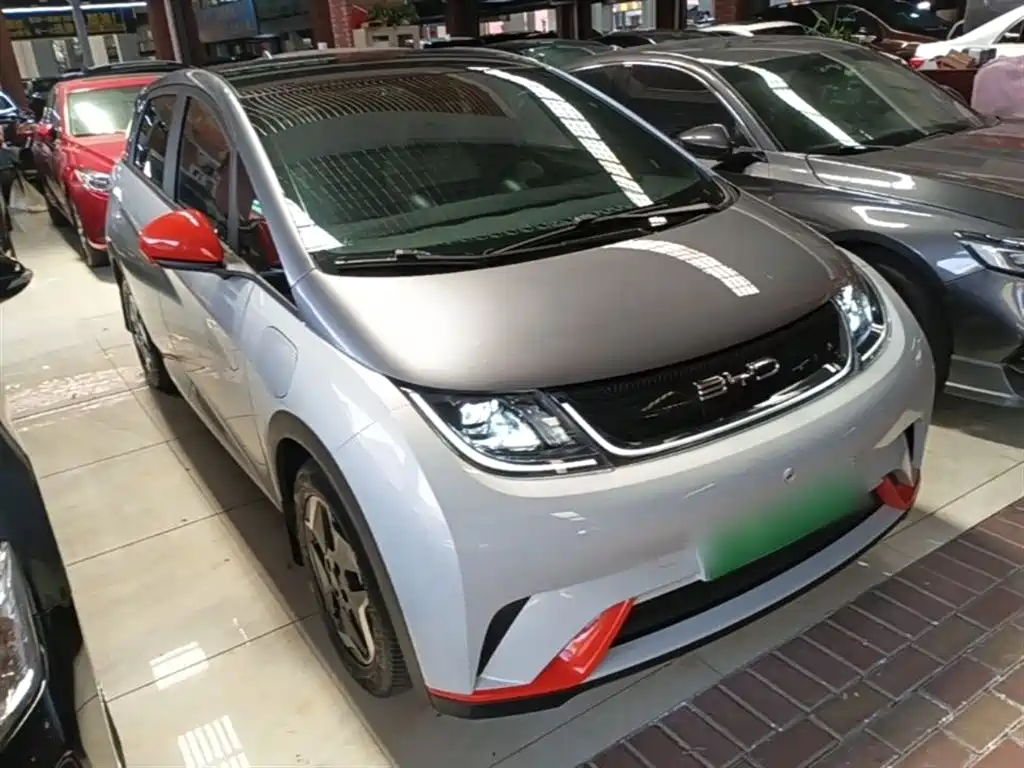 BYD Dolphin 2021 Model 405km Fashion Edition фото 4