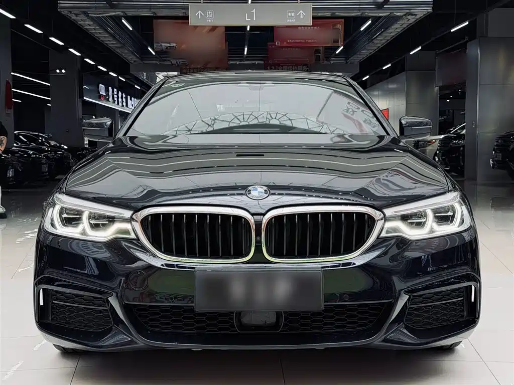 BMW 5 Series 2020 Model 530Li Executive M Sport Package фото 6