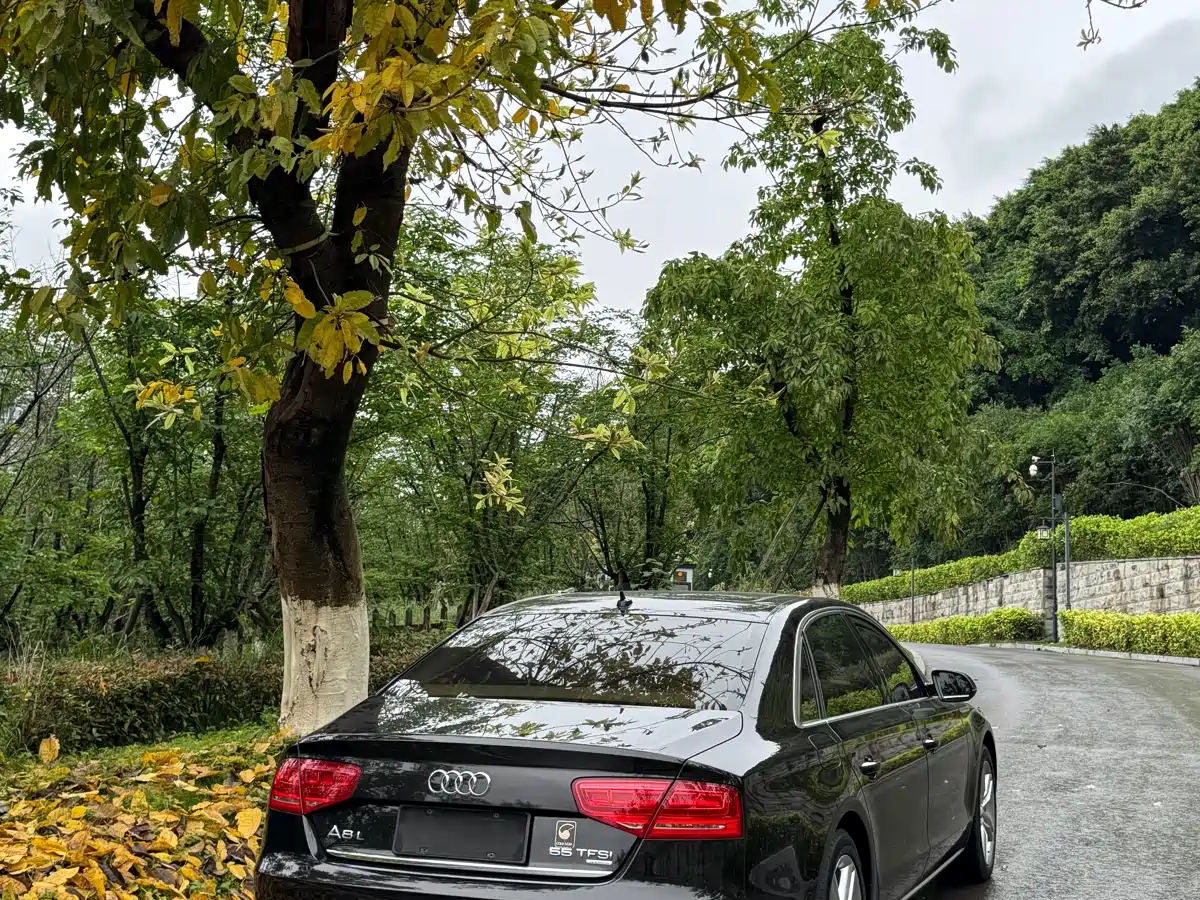 Audi A8 2013 A8L 45 TFSI quattro Exclusive фото 38