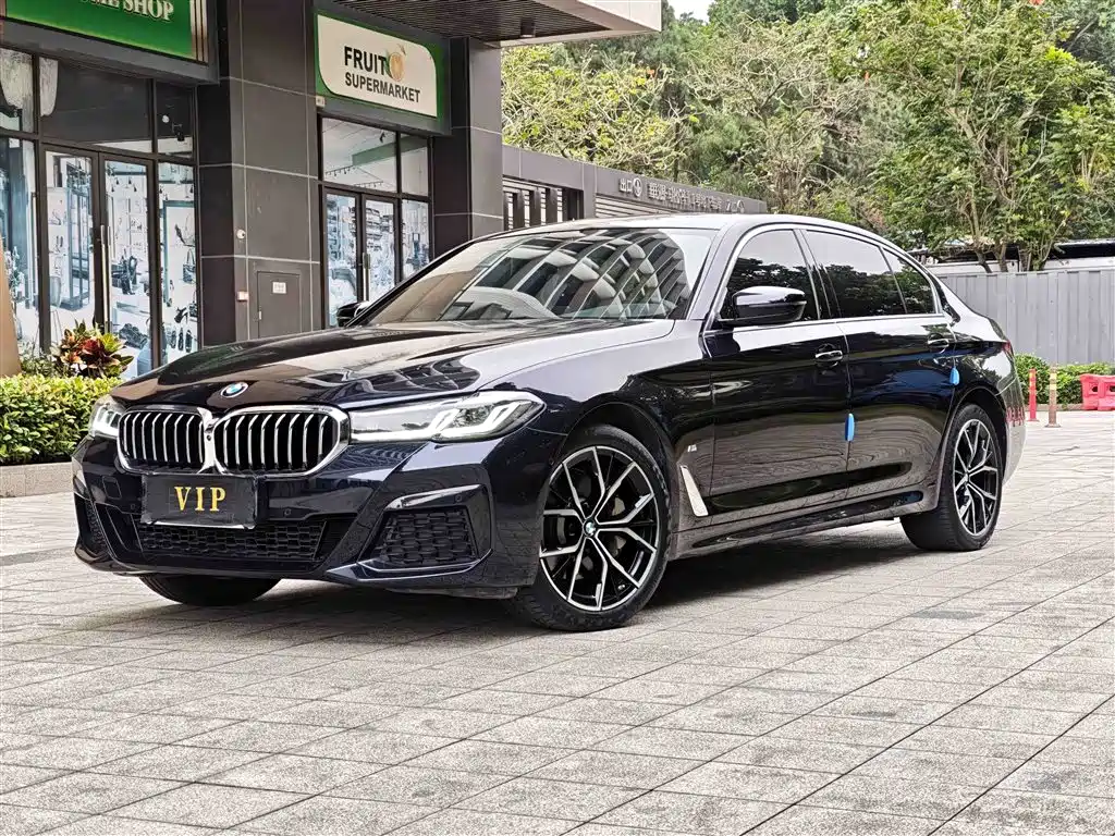 BMW 5 SERIES