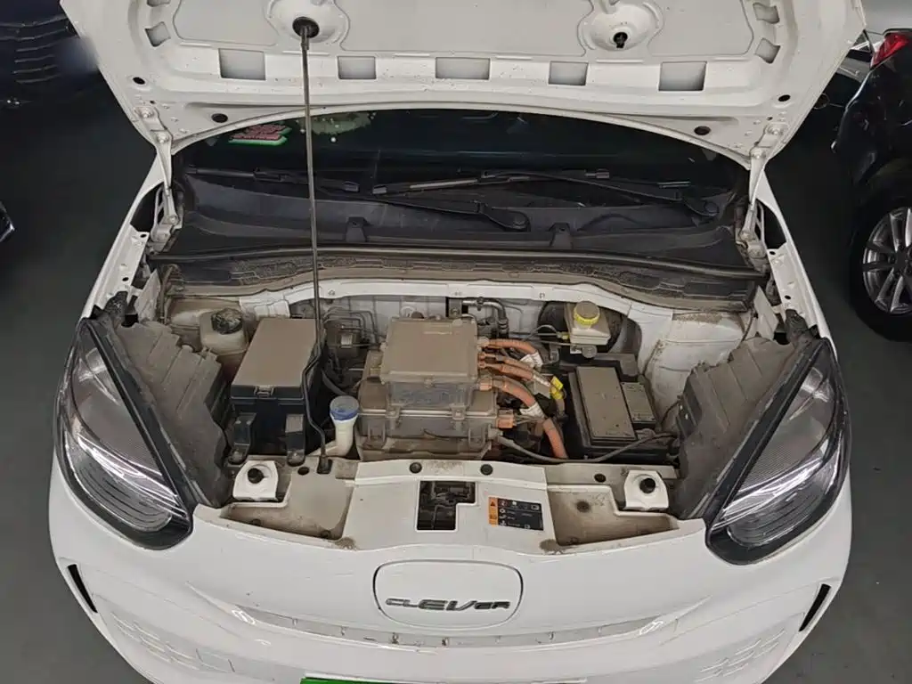 Roewe Clever 2023 2022 311km Vitality Bobo Edition