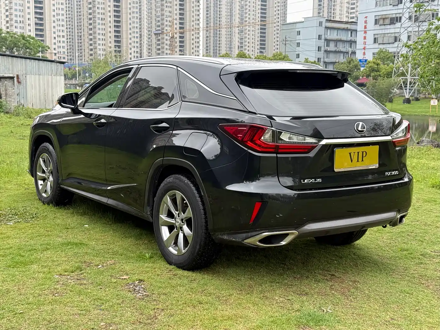 Lexus RX 2016 300 2WD Elite Edition (China V) фото 6