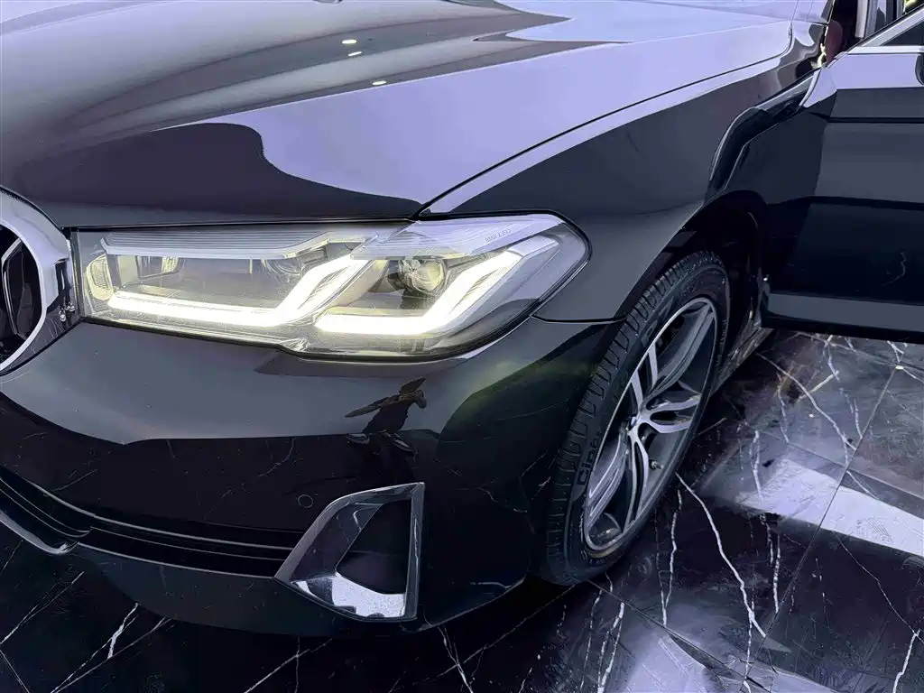 BMW 5 Series 2021 530Li Leading Luxury Package фото 19
