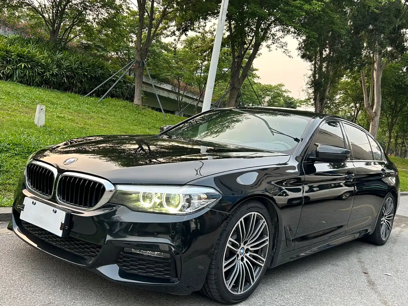 BMW 5 Series 2019 530Li Leading M Sport Package