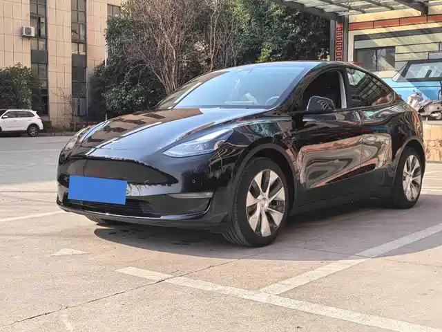 Tesla Model Y 2021 Standard Range Rear-Wheel Drive