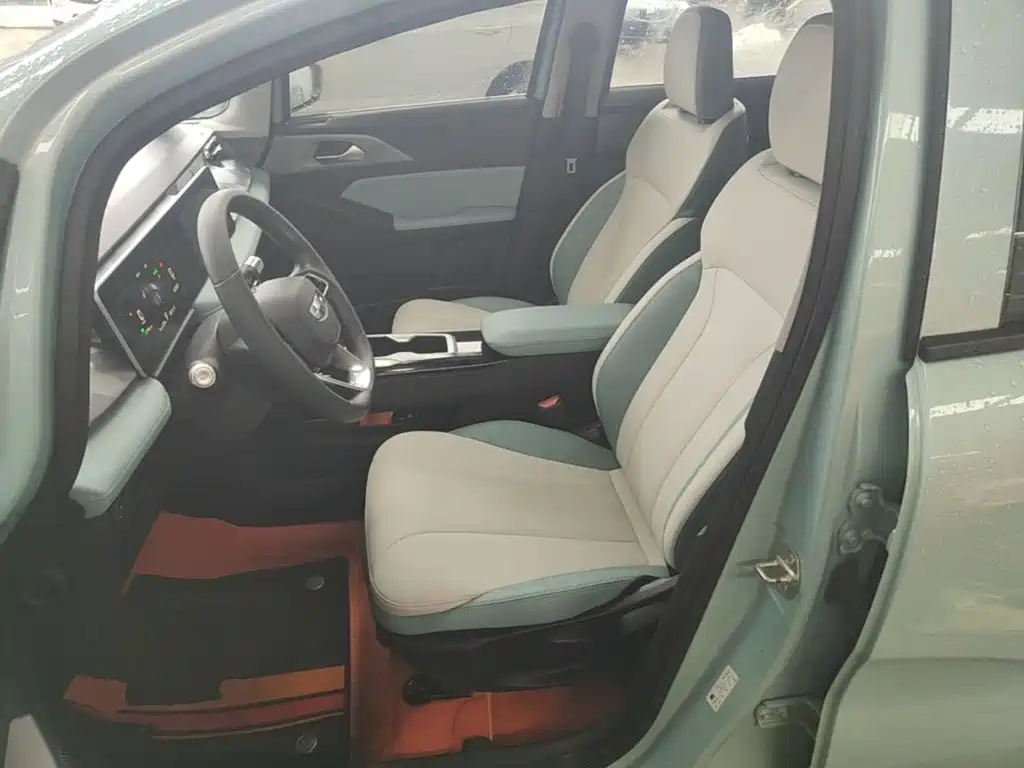 Geely Geometry E Firefly 2024 2024 Model 301km Starlight