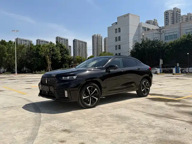 WEI PAI WEI BRAND VV7 GT NEW ENERGY