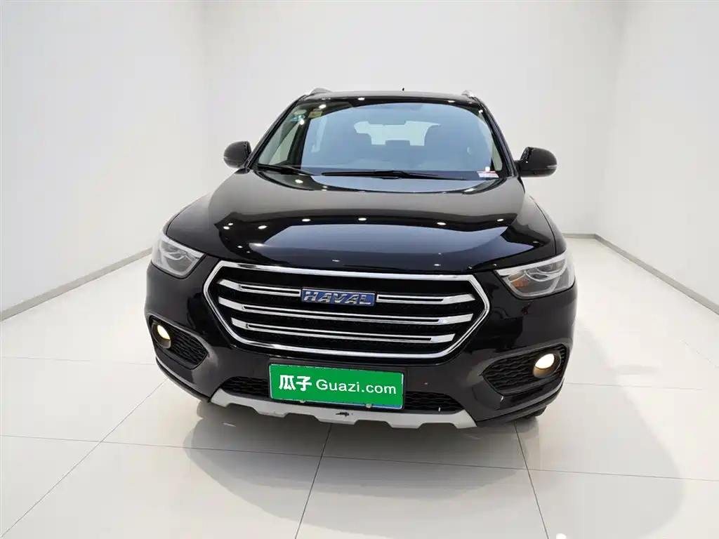 Haval H6 2017 Blue Label Sport 1.5T Auto 2WD Luxury фото 3