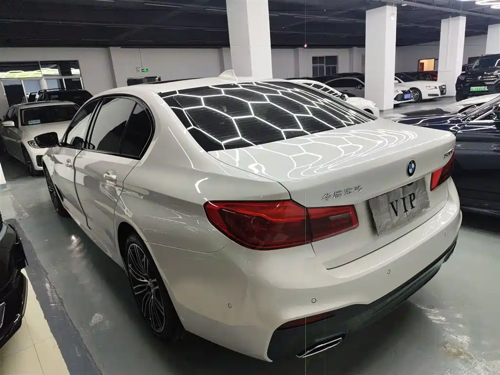 BMW 5 Series 2019 530Li Leading M Sport Package фото 5