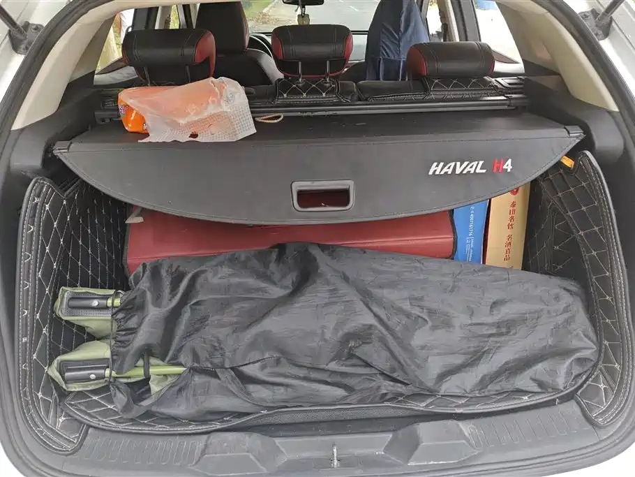 Haval H4 2018 Red Label 1.5GDIT DCT Trend Edition фото 4