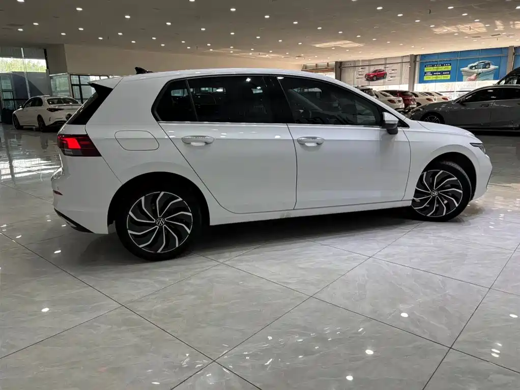 Volkswagen Golf 2021 280TSI DSG Pro фото 2