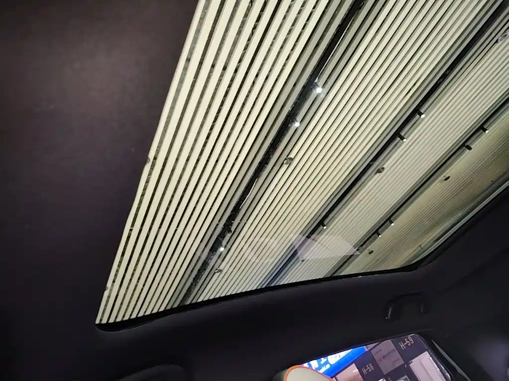 BYD Dolphin 2021 2021 Model 405km Fashion Edition