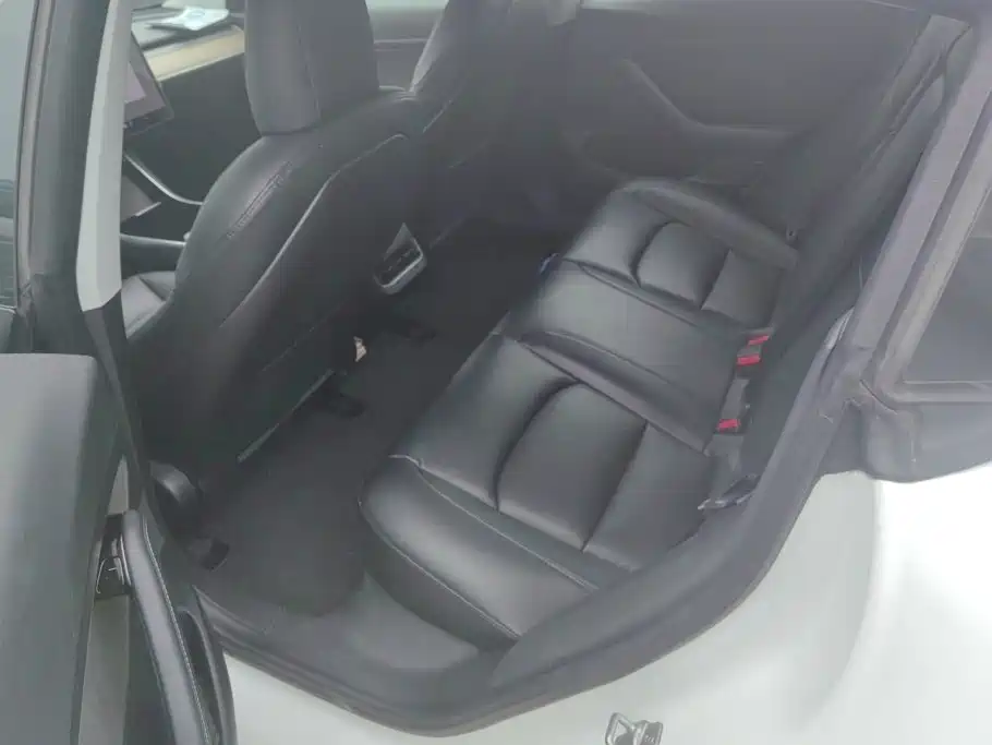 Tesla Model 3 2020 2020 Standard Range Rear-Wheel Drive Upgrade