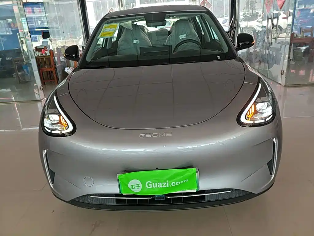 Geely Galaxy Starry Wish 2026 2026 Model 310km Dream Edition