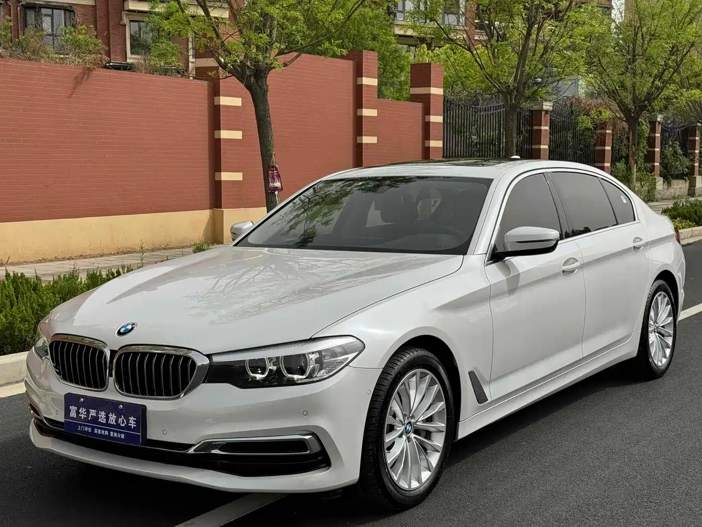 BMW 5 Series 2019 530Li Leading Luxury Package